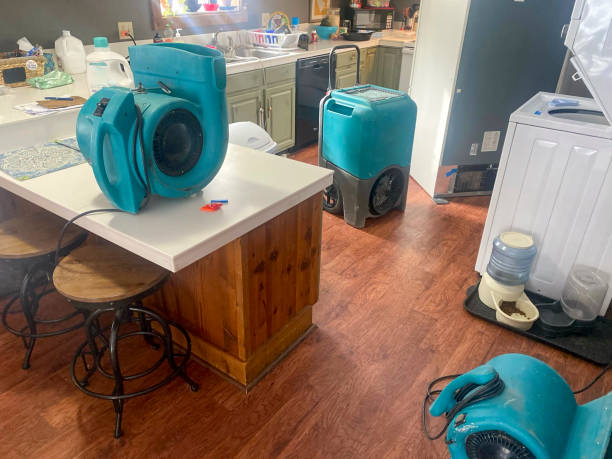 Best Flood damage cleanup  in Hot Springs, AR