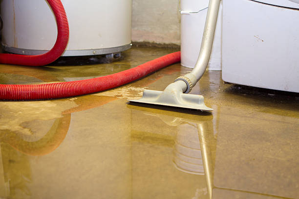 Trusted AR Water damage restoration Experts