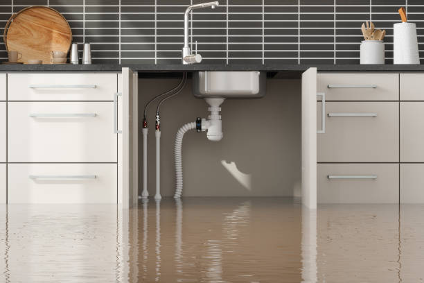 Best Sewage cleanup and water damage restoration  in Hot Springs, AR