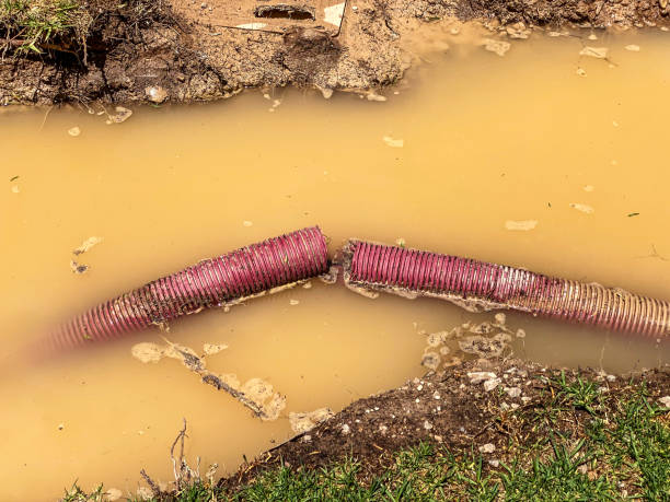 Best Water damage contractors near me  in Hot Springs, AR